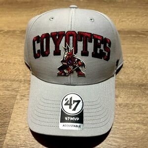 NWT Collectable Arizona Coyotes Cap .
